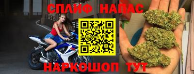 мяу мяу мука Ярославль
